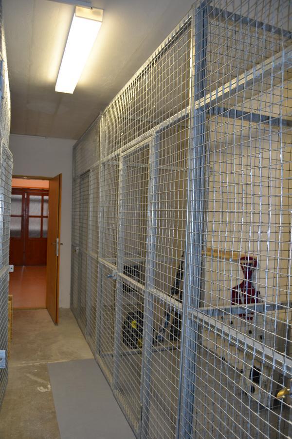 Apartmany Rysi Skala Loučná nad Desnou Dış mekan fotoğraf